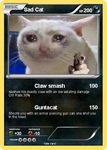 Pokemon Sad Cat