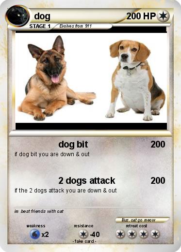Pokemon dog