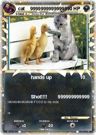 Pokemon cat    9999999999999990