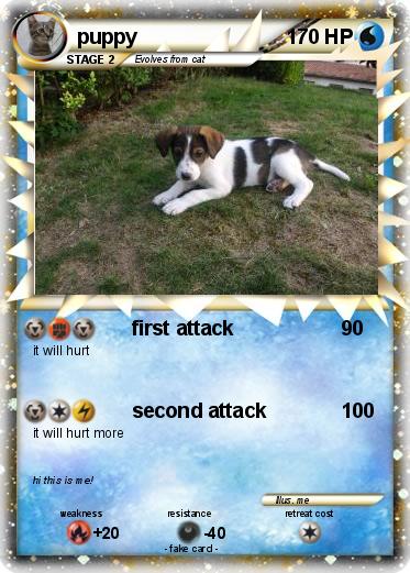 Pokemon puppy