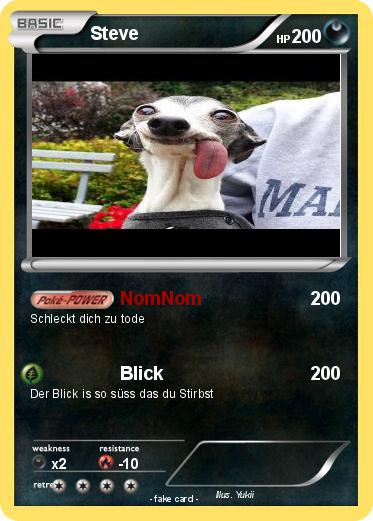 Pokemon Steve