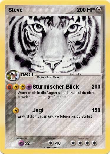 Pokemon Steve