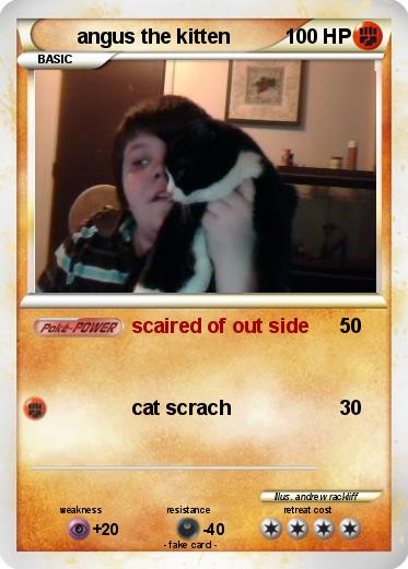 Pokemon angus the kitten
