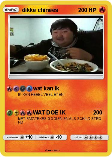 Pokemon dikke chinees