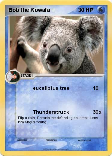 Pokemon Bob the Kowala