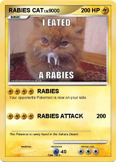 Pokemon RABIES CAT