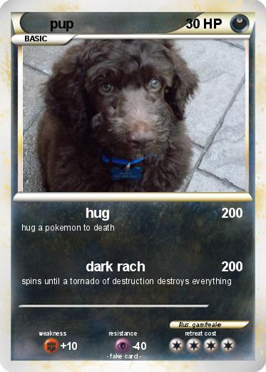 Pokemon pup