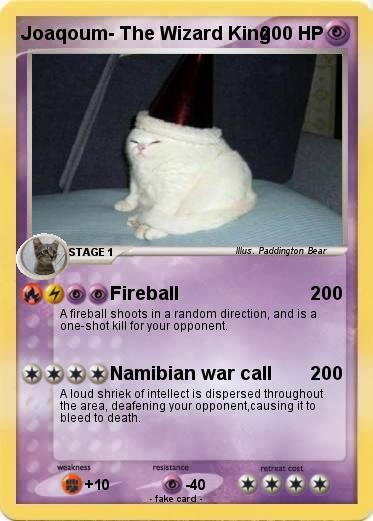 Pokemon Joaqoum- The Wizard King