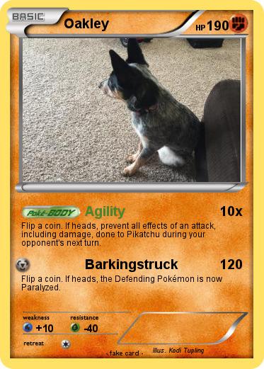 Pokemon Oakley