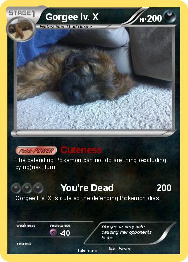 Pokemon Gorgee lv. X