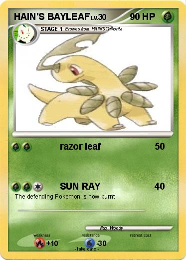 Pokemon HAIN'S BAYLEAF