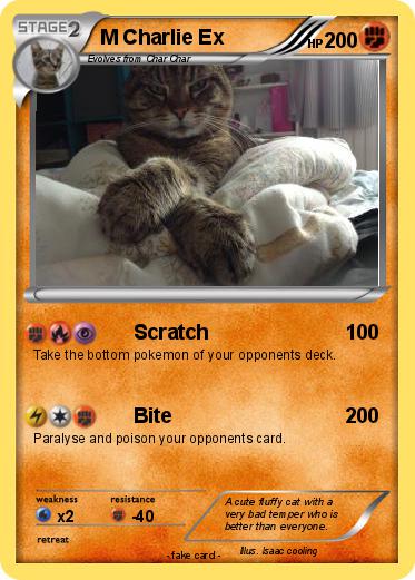 Pokemon M Charlie Ex