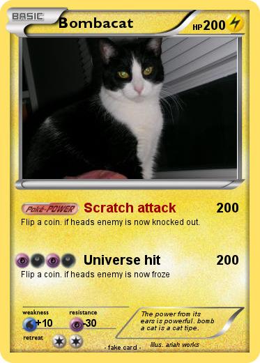 Pokemon Bombacat