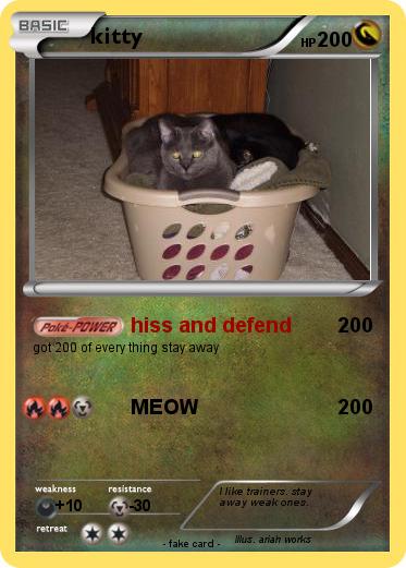Pokemon kitty