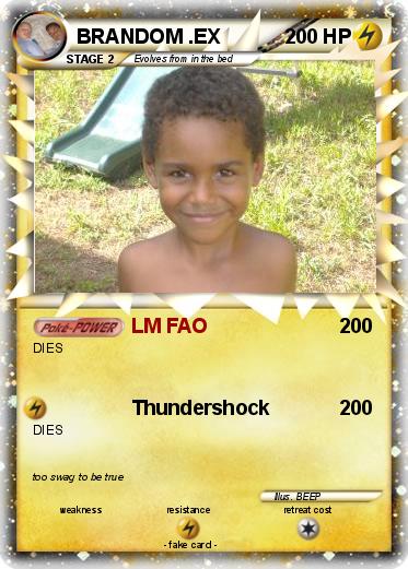 Pokemon BRANDOM .EX