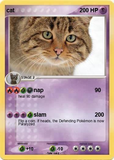 Pokemon cat