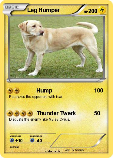 Pokemon Leg Humper