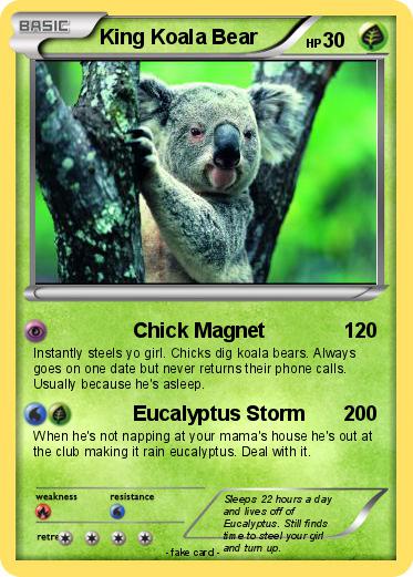 Pokemon King Koala Bear