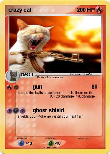 Pokemon crazy cat