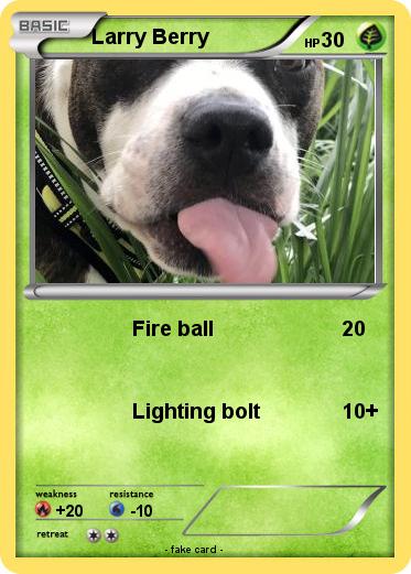 Pokemon Larry Berry