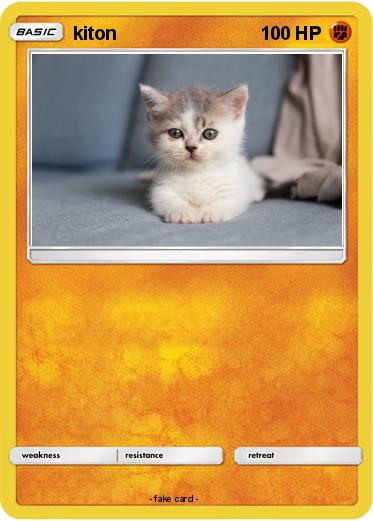 Pokemon kiton