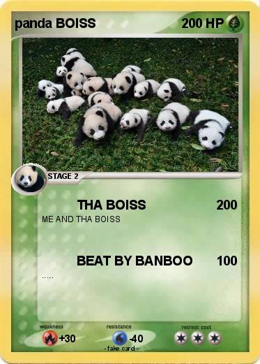 Pokemon panda BOISS