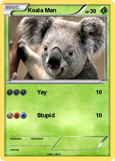 Pokemon Koala Man