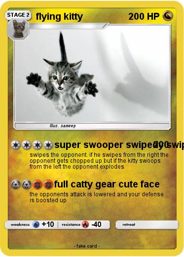 Pokemon flying kitty