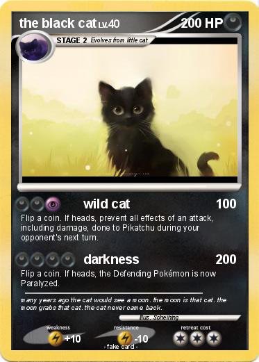 Pokemon the black cat
