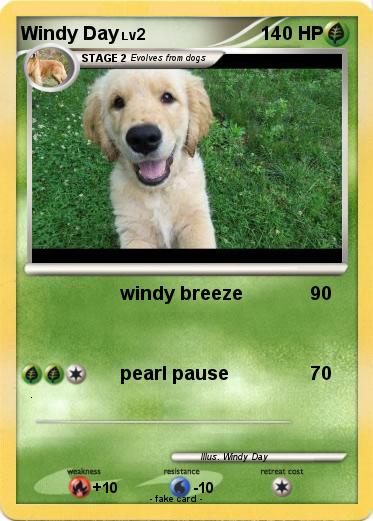 Pokemon Windy Day