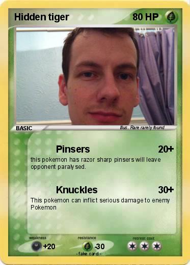 Pokemon Hidden tiger