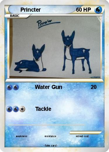 Pokemon Princter