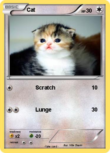 Pokemon Cat