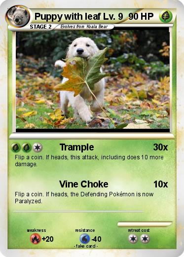Pokemon Puppy with leaf Lv. 9