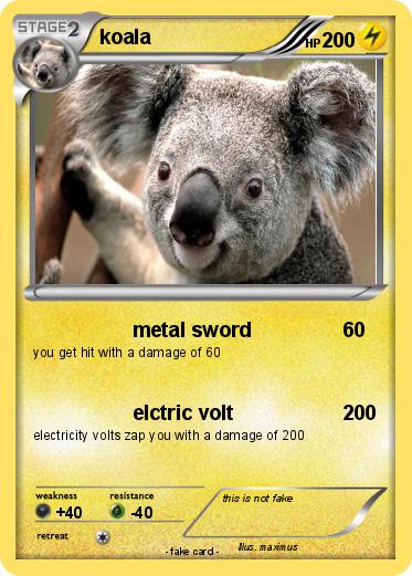 Pokemon koala