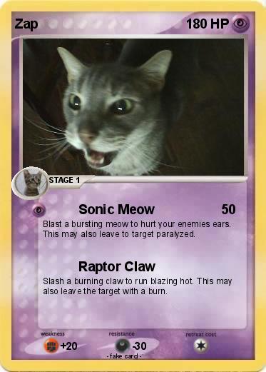 Pokemon Zap