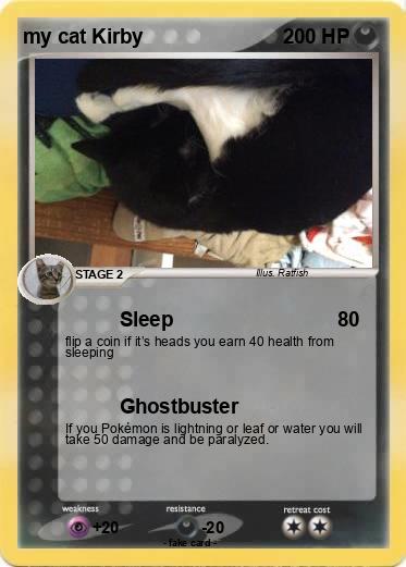 Pokemon my cat Kirby