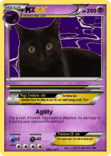 Pokemon Z