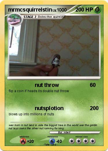 Pokemon mrmcsquirrelstin