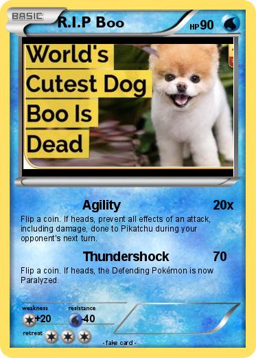 Pokemon R.I.P Boo