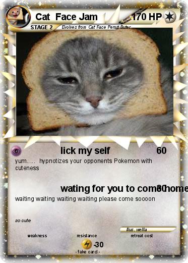 Pokemon Cat  Face Jam