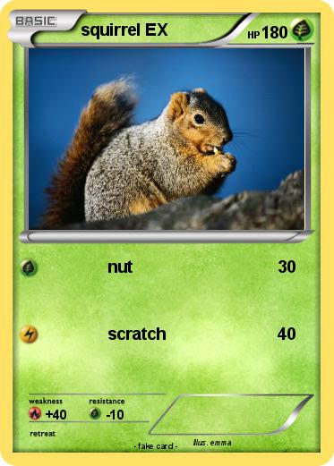 Pokemon squirrel EX