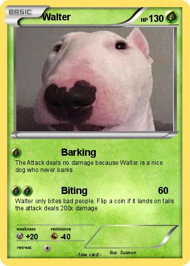 Pokemon Walter