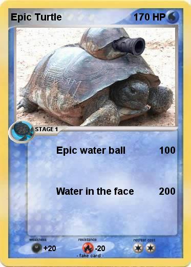 Pokemon Epic Turtle Pokemon Epic Turtle