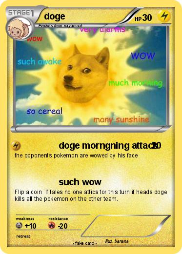 Pokemon doge