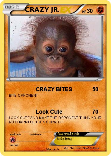Pokemon CRAZY JR.
