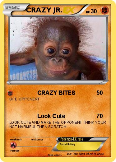 Pokemon CRAZY JR.