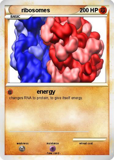 Pokemon ribosomes