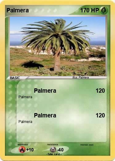 Pokemon Palmera