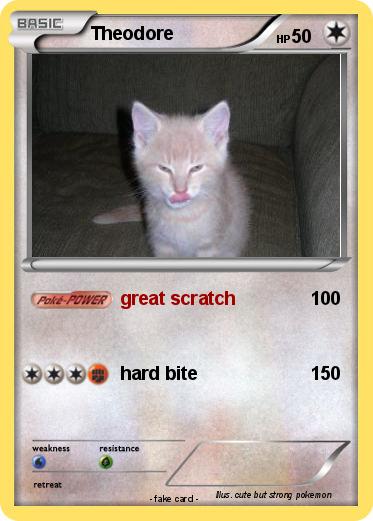 Pokemon Theodore